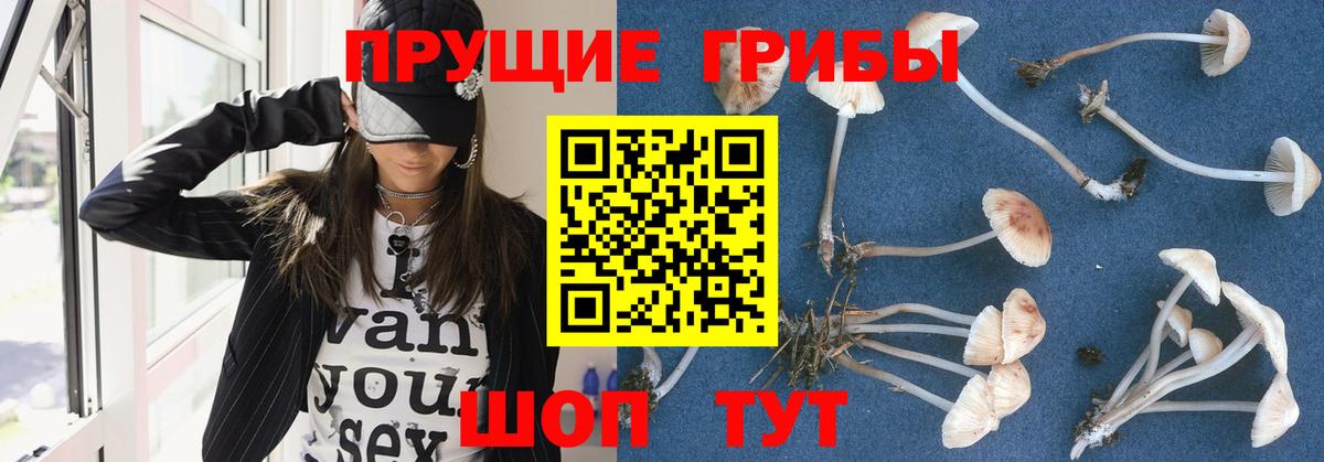 Псилоцибиновые грибы MAGIC MUSHROOMS Алексеевка